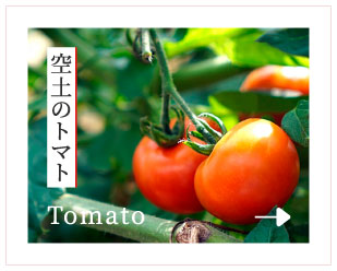 空土のトマト